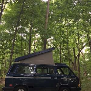 Vanlife can be hard in Indiana, but not at Wild Things Farm!