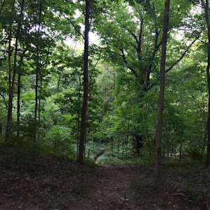 Steep and amazing trails just off the campsite.
