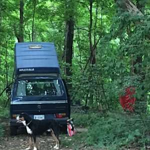 Beautiful lush forest and freshly mulched campsite made a rainy night a non-issue for all of us, including the dog.