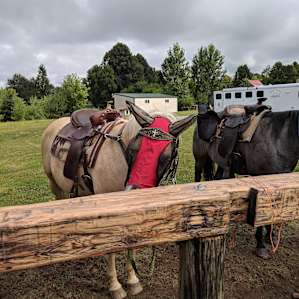 Rest & Ride