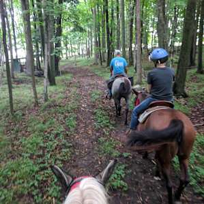 Rest & Ride