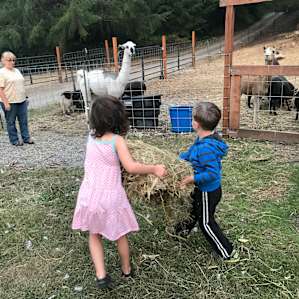 The Farm at Four Ewe Ranch