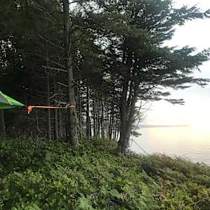 Breathtaking Tree Tent