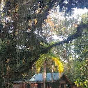 The Hermitage Cabin