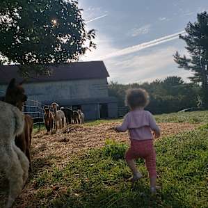 Fiber Farm, Your Tent & More!