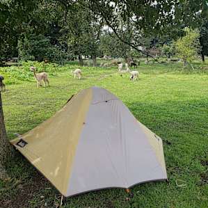 Fiber Farm, Your Tent & More!