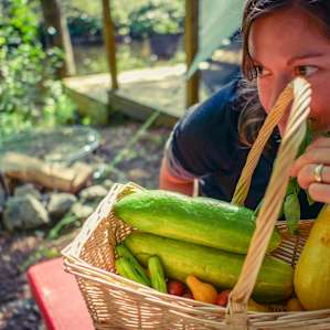 Our host gifted us with a basket of fresh vegetables from their garden. So nice!