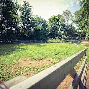 The host has a huge dog enclosure that can be used upon request.