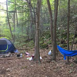 Woodland Get Away