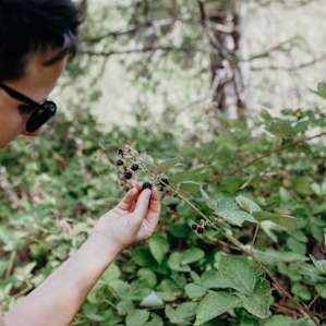 the campsite is surrounded by delicious blackberry bushes.