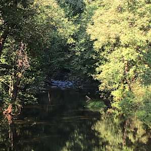 #12 Private Camping along Creek