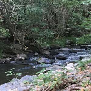 #12 Private Camping along Creek