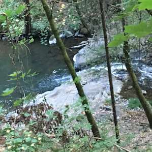 #12 Private Camping along Creek