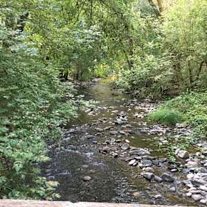 #12 Private Camping along Creek