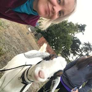 Bandit loves a good selfie