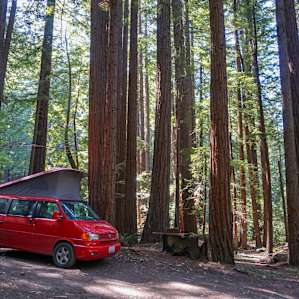 Lots of space to angle your camper van so that it has the best view of the redwoods.
