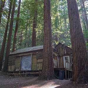 This is the old cabin where the bathroom is. A bit creaky and musty inside, good for haunted ghost stories.
