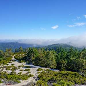 Rancho Rio is so close to the backside (or frontside? Depends how you look at it) of Big Basin. In just a few miles' hike from the property, we were watching the fog roll over the coast from the top of Chalk Mountain.