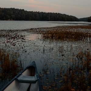 Peaceful paddle in the pond.