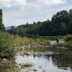 Exploring the West River