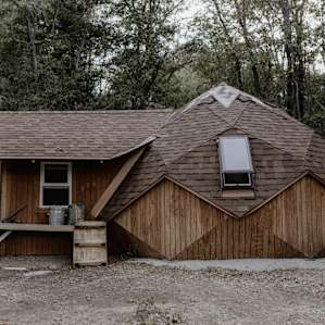 cabin forest lodging