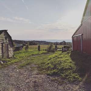 Secluded Hilltop Meadow on Farm