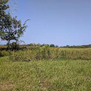 Secluded Hilltop Meadow on Farm