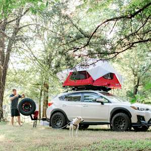 Loads of space to pick from - drive right in and pitch your tent!