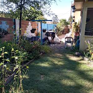 Healing on the Rio Grande