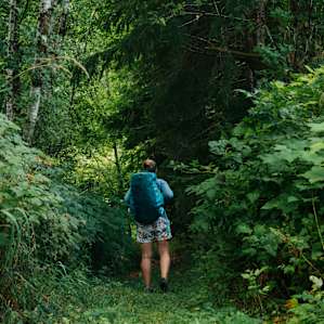 A well defined path back through the property, where I took my stuff back and set up camp