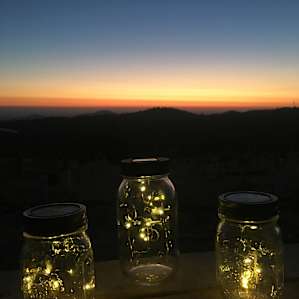 Secluded Vineyard Walk-In (Site 3)