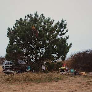 We parked to make a bit of a wind barrier and make a nook for ourselves up on the hill.