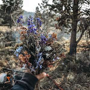 Pick some wildflowers- they are everywhere!