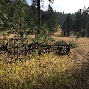 Yurt at Gaea Getaways