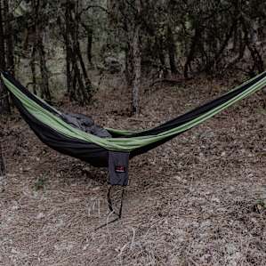 forest hammock activity