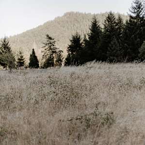 Halcyon Days Farm and Retreat