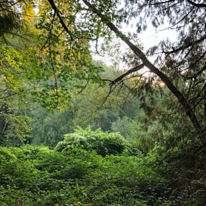 The Homestead on Crabtree Creek