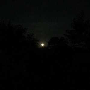 The full moon was beautiful!