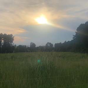 Gorgeous Sunsets!