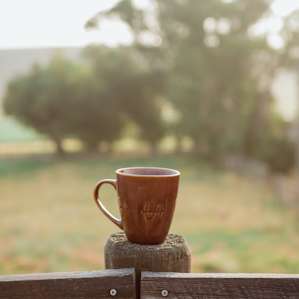 food mug