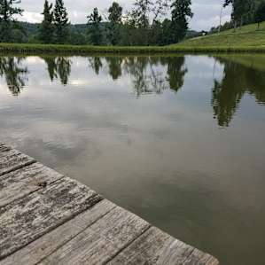 Nice pond for swimming