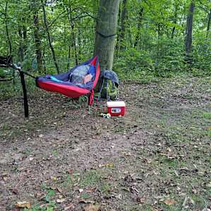Spacious site with picnic table and fire ring but i decided to hammock camp