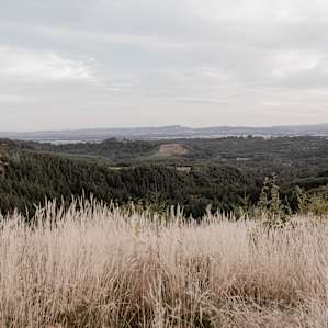 Above the Willamette Valley
