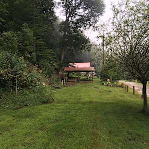 holed up in the holler