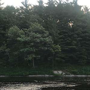 Seclusive, yet woodsy