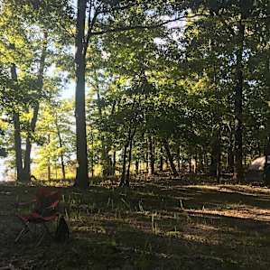 Fresh Life on Beaver Lake
