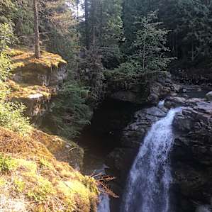 Historic Heart of Cascadia -Cabin2