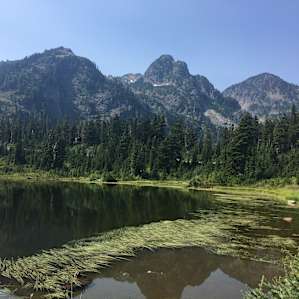 Historic Heart of Cascadia -Cabin2