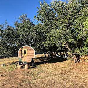 Zion Backcountry Sheep Camps