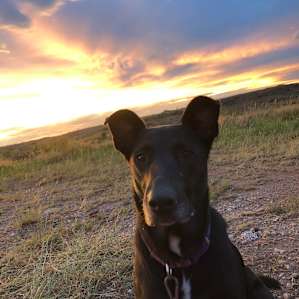 Sunset glamping at Mariposa